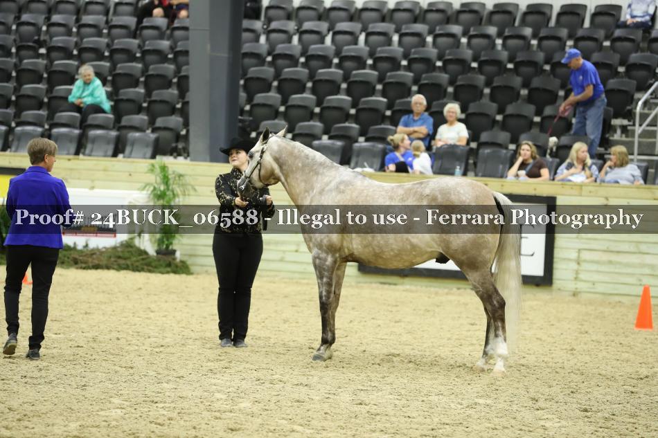 Proof 24BUCK_06588