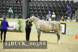24BUCK_06588 proof