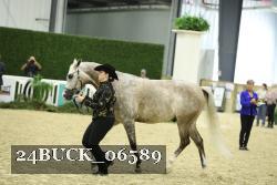 24BUCK_06589 proof