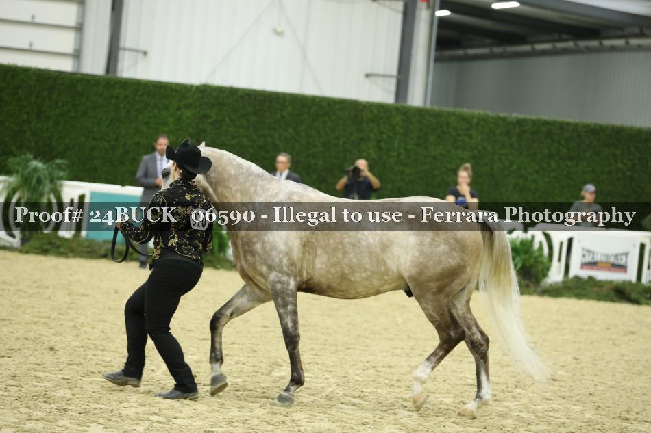 Proof 24BUCK_06590