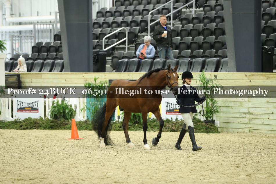 Proof 24BUCK_06591