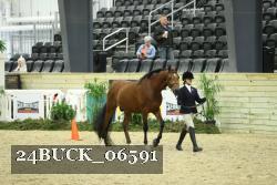 24BUCK_06591 proof