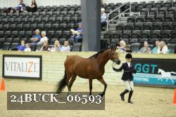 24BUCK_06593 proof