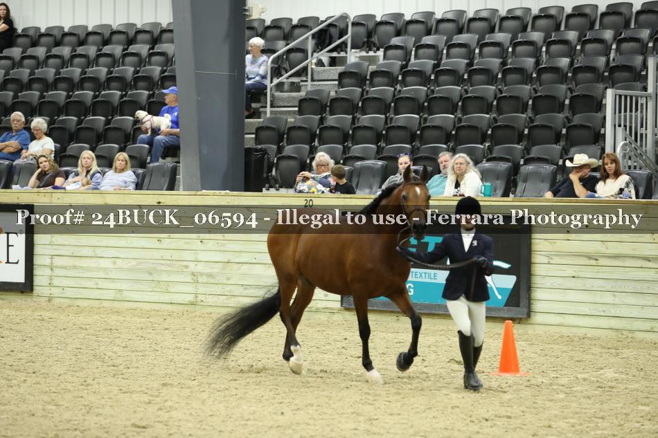 Proof 24BUCK_06594