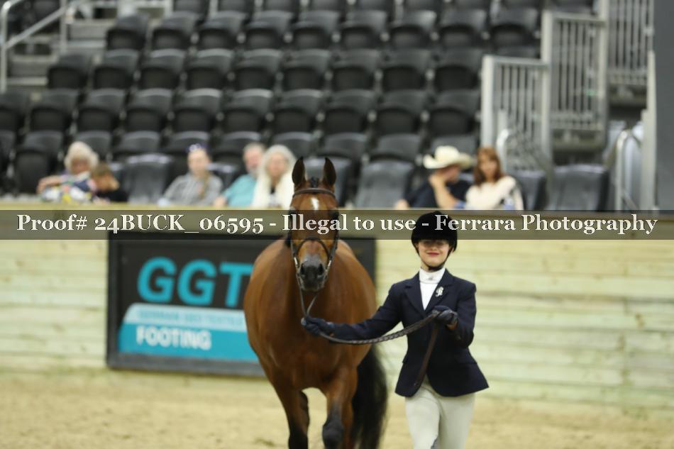 Proof 24BUCK_06595