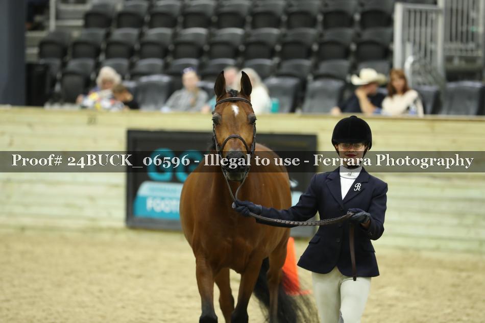 Proof 24BUCK_06596
