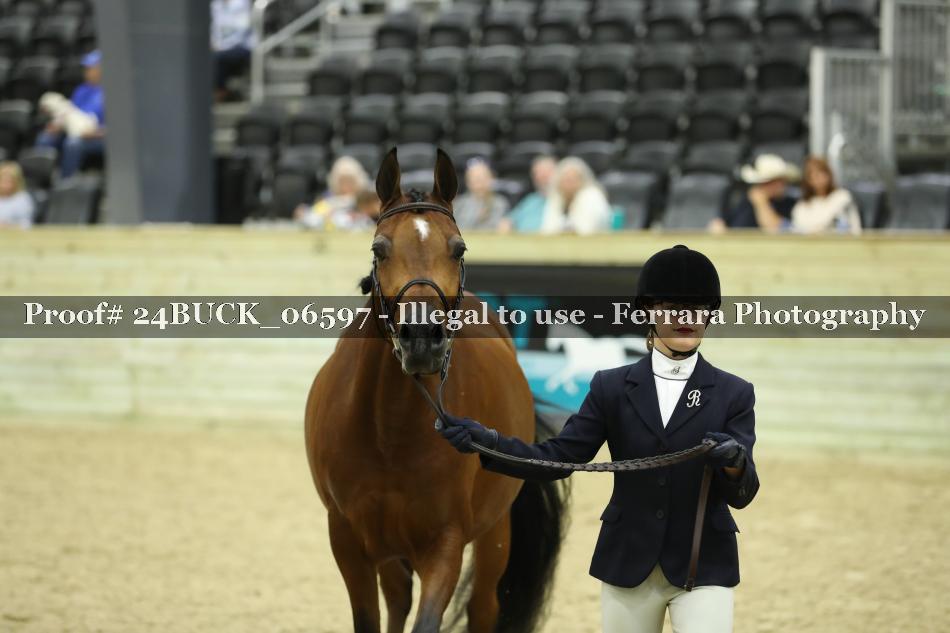 Proof 24BUCK_06597