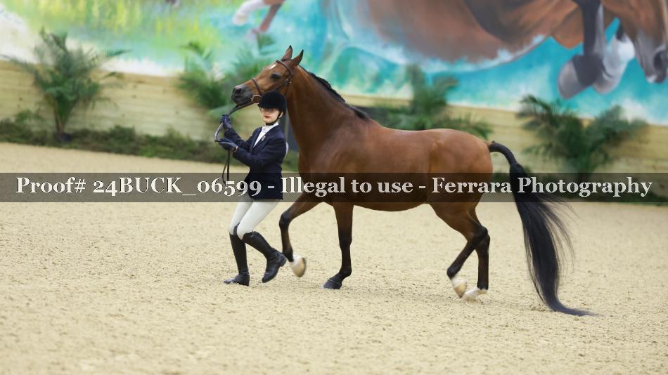 Proof 24BUCK_06599