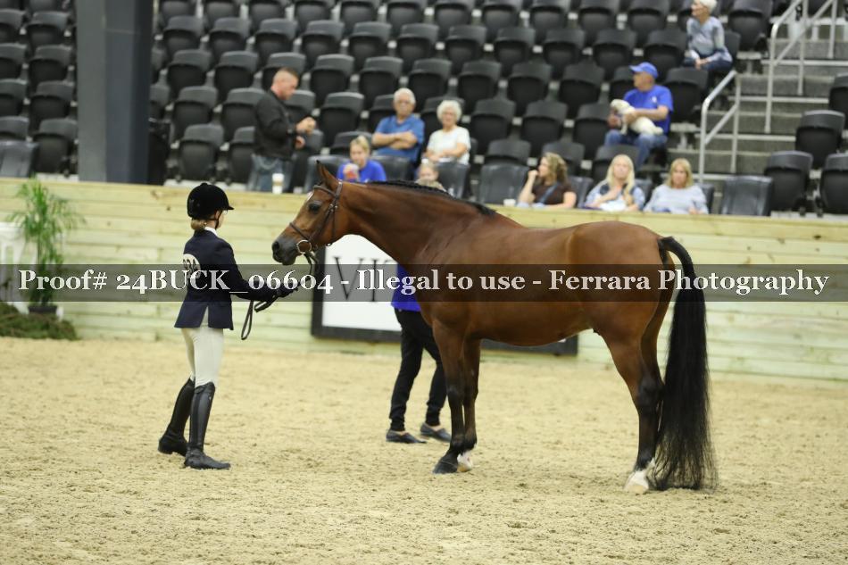 Proof 24BUCK_06604