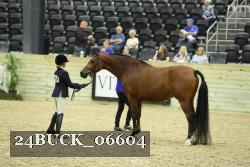 24BUCK_06604 proof