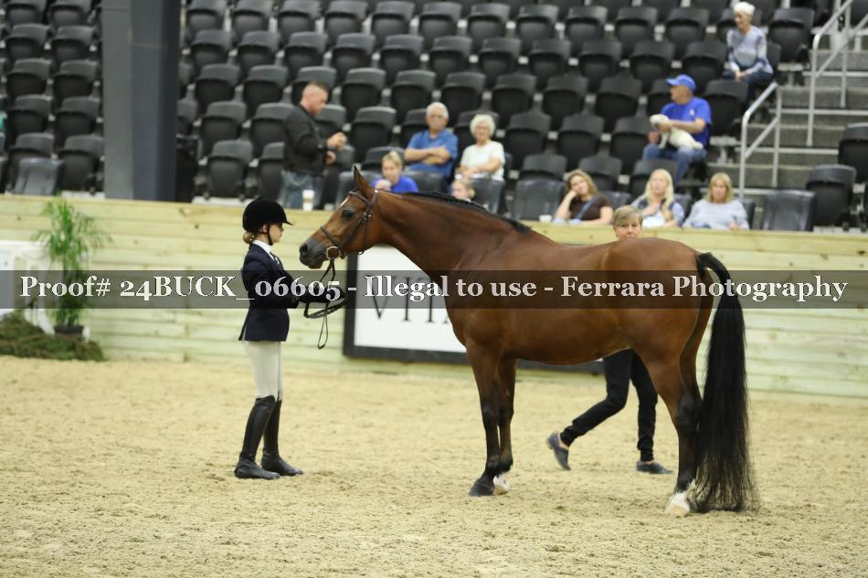 Proof 24BUCK_06605