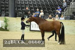 24BUCK_06605 proof