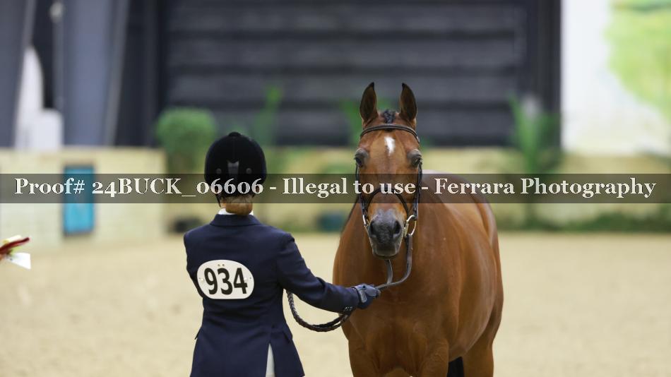 Proof 24BUCK_06606