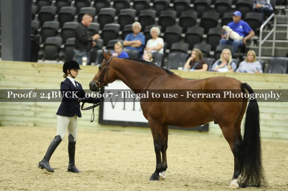 Proof 24BUCK_06607