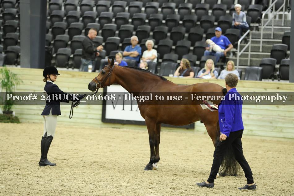 Proof 24BUCK_06608