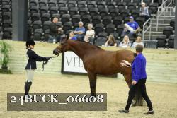 24BUCK_06608 proof