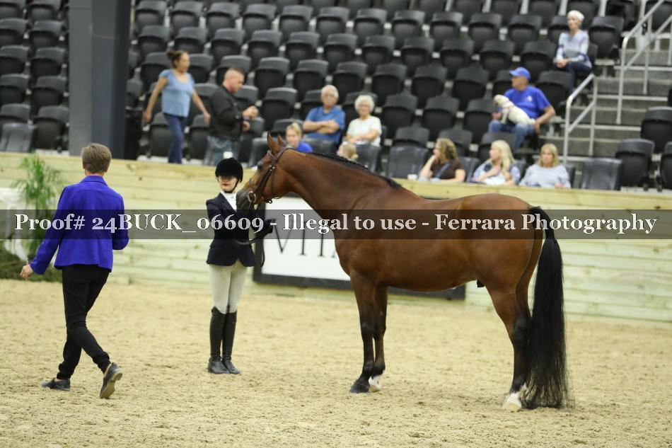 Proof 24BUCK_06609