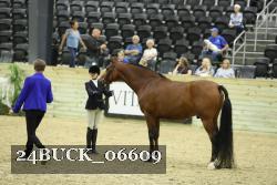 24BUCK_06609 proof