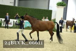 24BUCK_06611 proof
