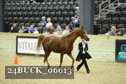 24BUCK_06613 proof