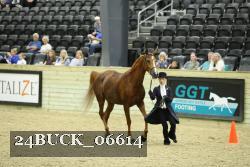 24BUCK_06614 proof