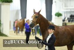 24BUCK_06617 proof