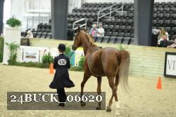24BUCK_06620 proof