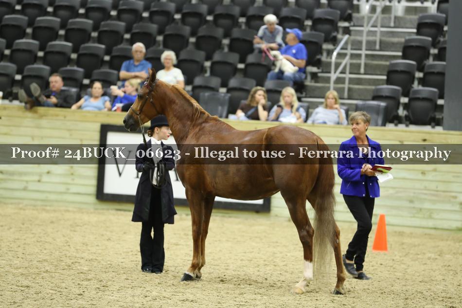 Proof 24BUCK_06623