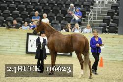 24BUCK_06623 proof