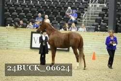 24BUCK_06624 proof
