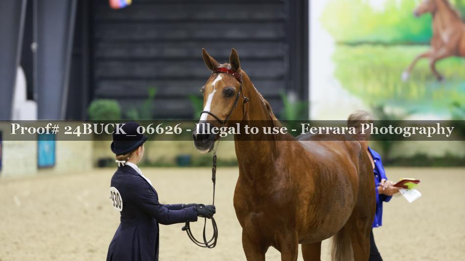 Proof 24BUCK_06626