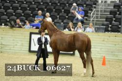24BUCK_06627 proof