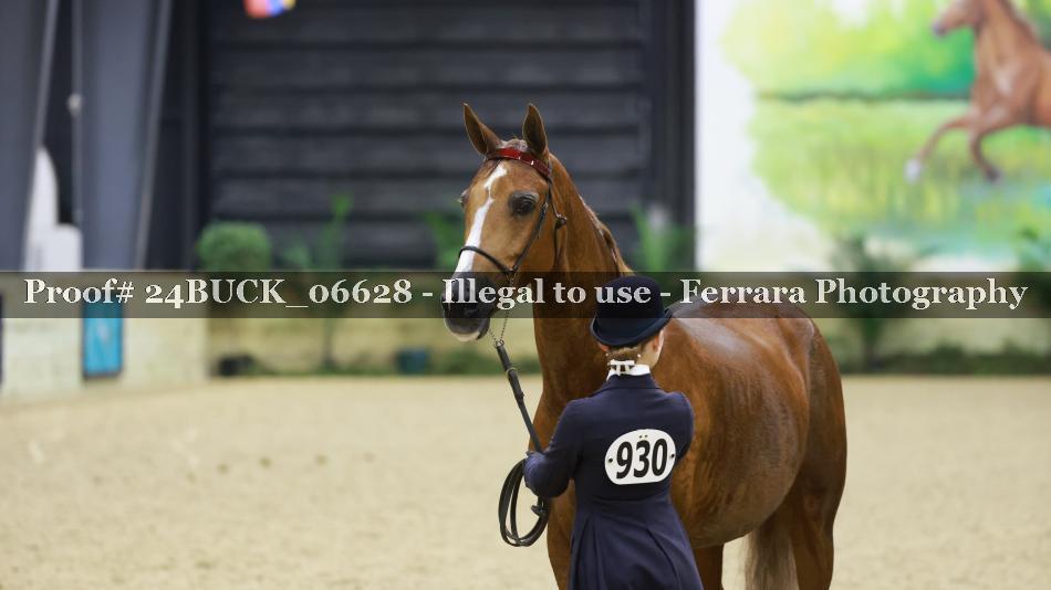 Proof 24BUCK_06628