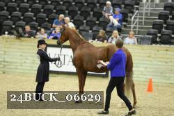 24BUCK_06629 proof