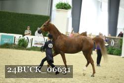 24BUCK_06631 proof