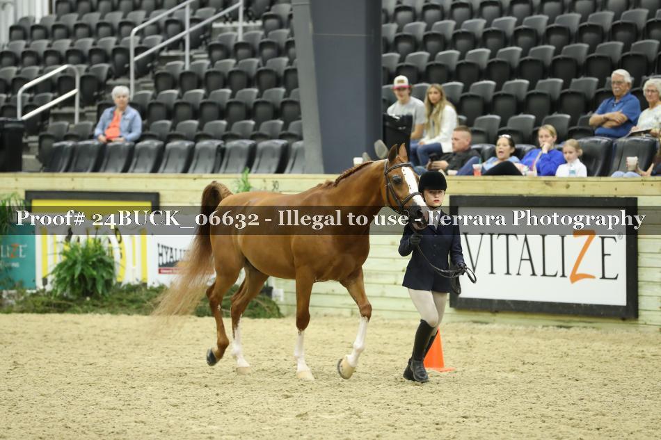Proof 24BUCK_06632
