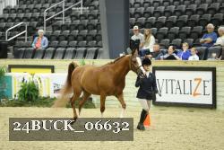 24BUCK_06632 proof
