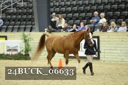 24BUCK_06633 proof
