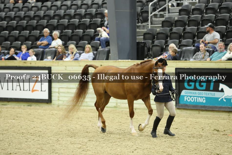 Proof 24BUCK_06635