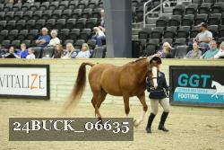24BUCK_06635 proof