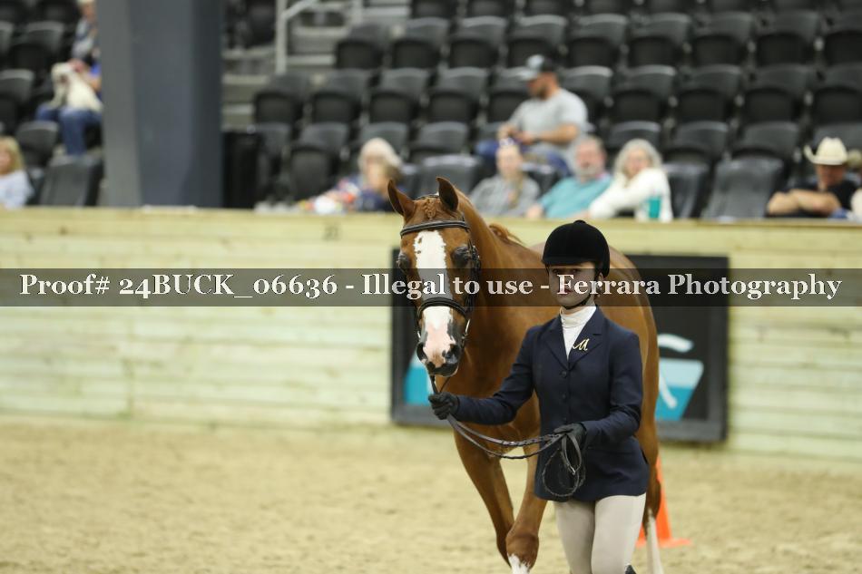 Proof 24BUCK_06636