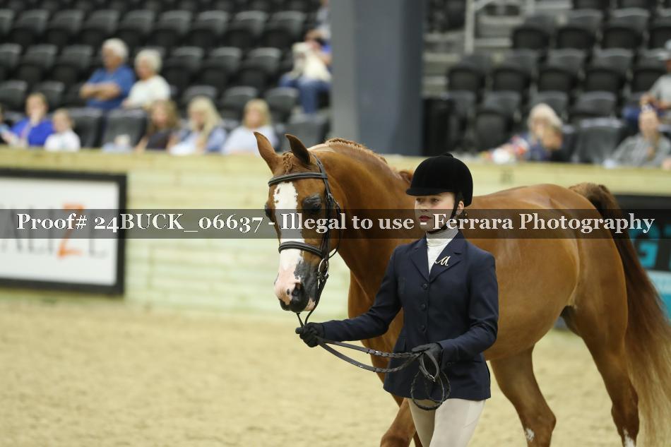 Proof 24BUCK_06637