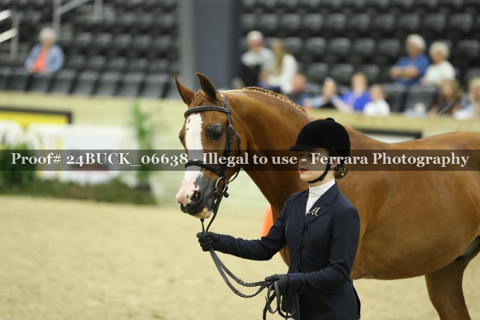 Proof 24BUCK_06638