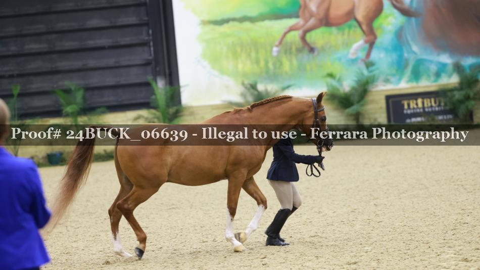 Proof 24BUCK_06639