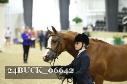 24BUCK_06642 proof