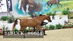 24BUCK_06644 proof