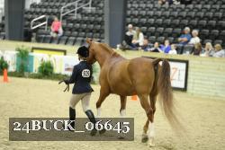 24BUCK_06645 proof