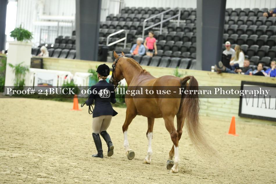 Proof 24BUCK_06646