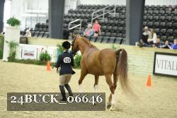 24BUCK_06646 proof