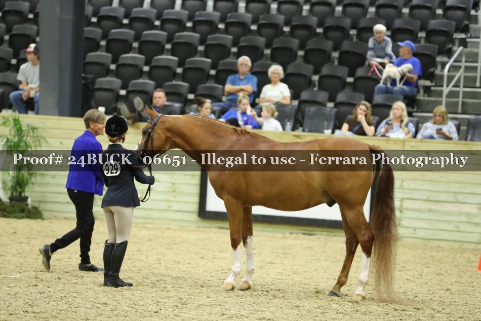Proof 24BUCK_06651